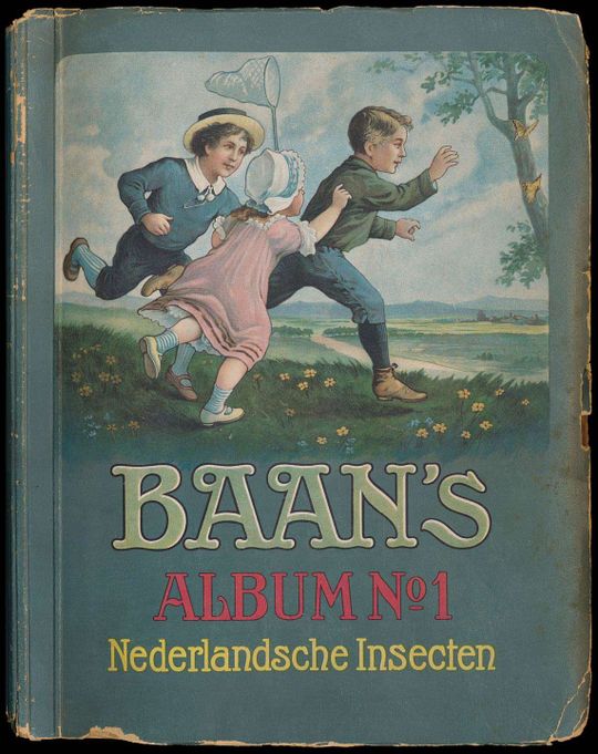 Nederlandsche Insecten