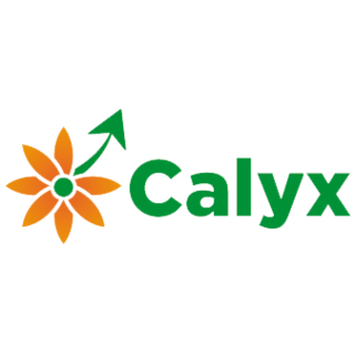 Calyx Consulting Co. Ltd.
