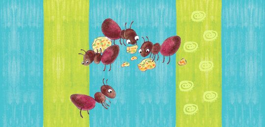 Busy Ants
