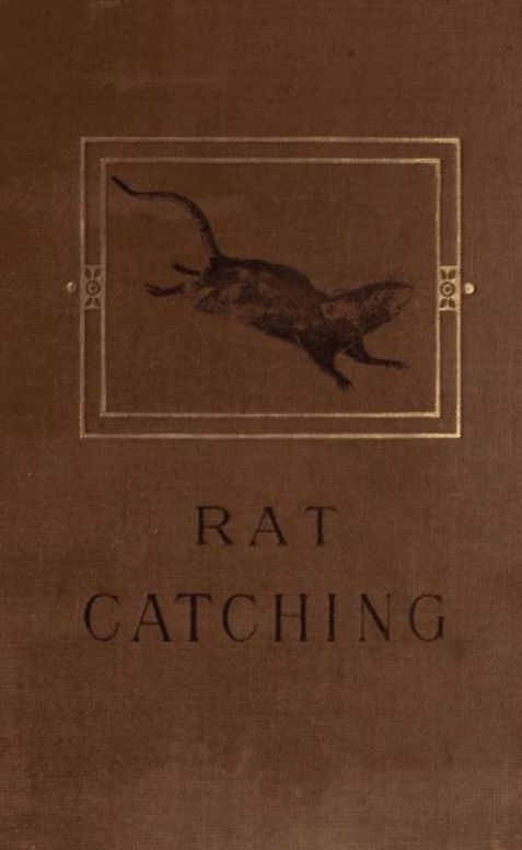 Studies in the Art of Rat-catching