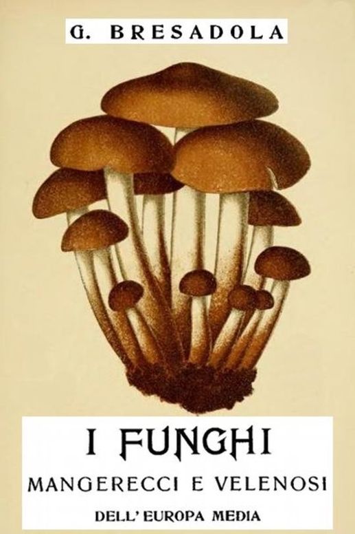 I funghi mangerecci e velenosi dell'Europa media con speciale riguardo a quelli che crescono nel Trentino - II edizione riveduta ed aumentata