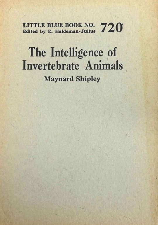 The intelligence of invertebrate animals