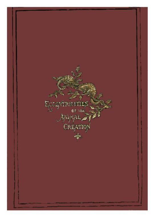 Eccentricities of the Animal Creation.