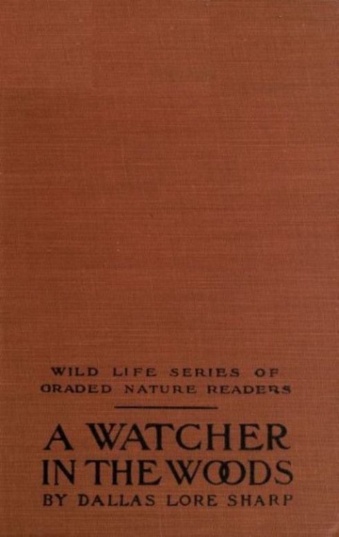 A Watcher in The Woods