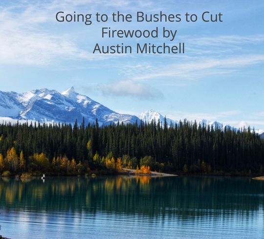 Going_to_the_bushes_to_cut_Firewood.80000.doc-PAYHIP