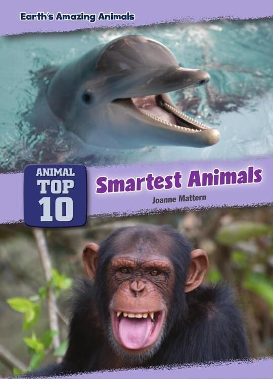 Top 10 Smartest Animals
