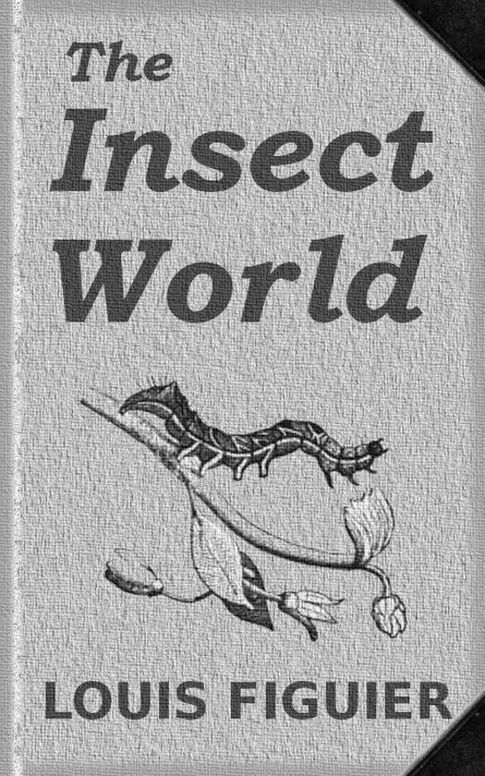 The Insect World Being a Popular Account of the Orders of Insects