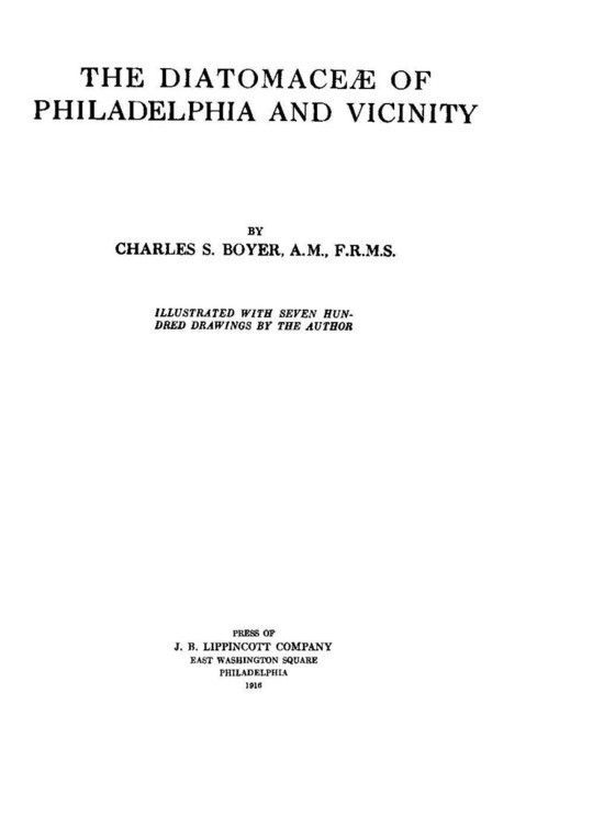 The Diatomaceae of Philadelphia and Vicinity