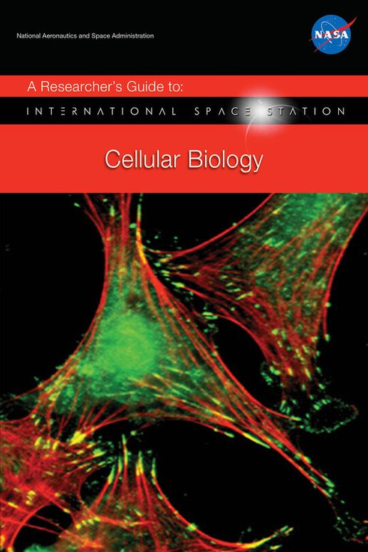 A Researcher's Guide to Cellular Biology