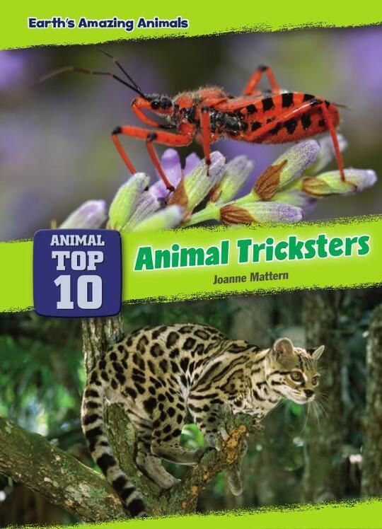 Top 10 Animal Tricksters