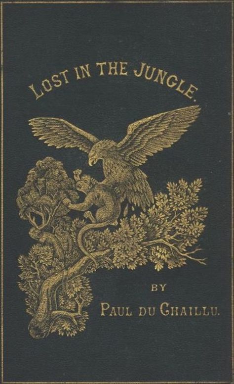 Lost in the Jungle Narrated for Young People