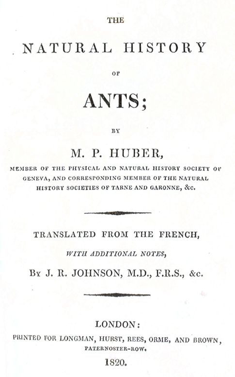The natural history of ants