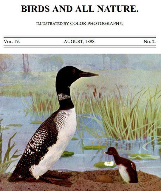 Birds and all Nature, Vol. IV, No. 2, August 1898 Illustrated by Color Photography