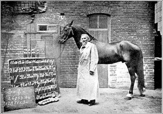 Clever Hans (The Horse of Mr. Von Osten) A contribution to experimental animal and human psychology