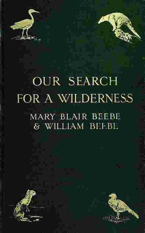 Our search for a wilderness