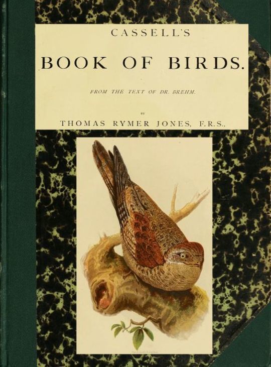 Casell's Book of Birds, Vol. II (of 4)
From the Text of Dr Brehm