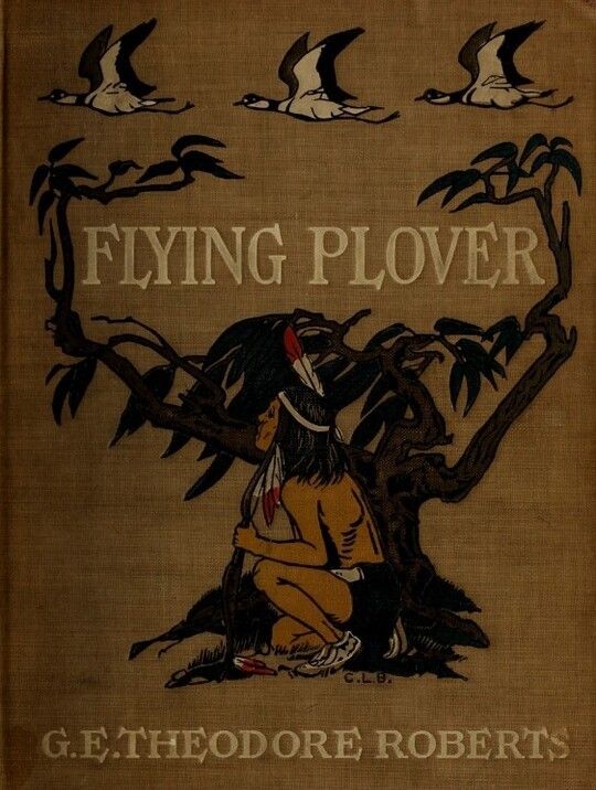 Flying Plover: His stories, told him by Squat-by-the-fire