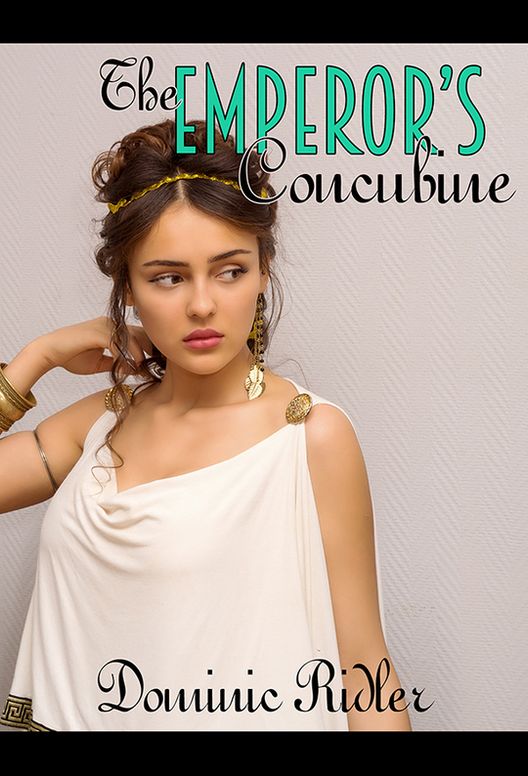 The Emperor's Concubine