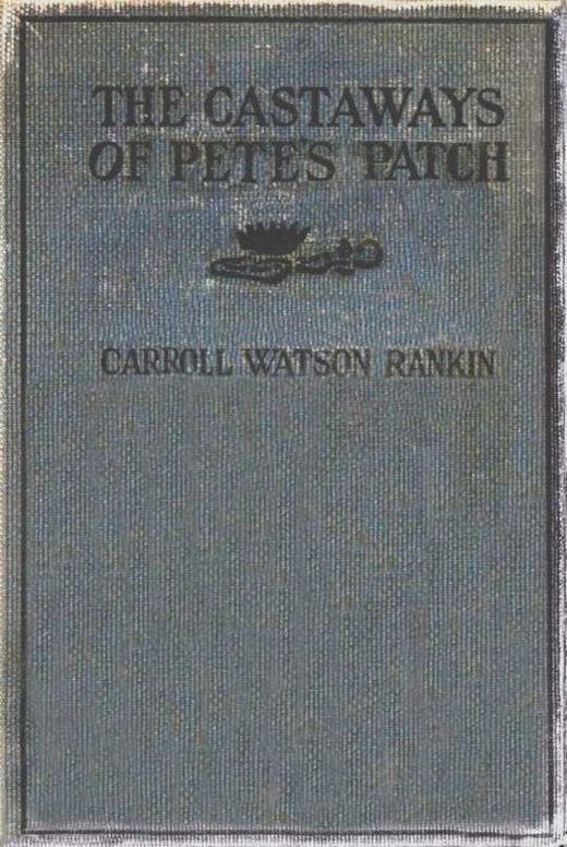 The Castaways of Pete's Patch A Sequel to the Adopting of Rosa Marie