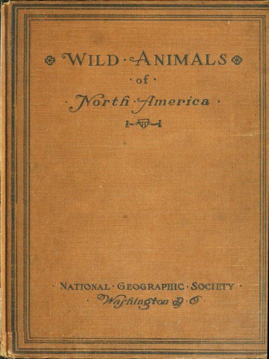 Wild Animals of North America
Intimate Studies of Big and Little Creatures of the Mammal Kingdom