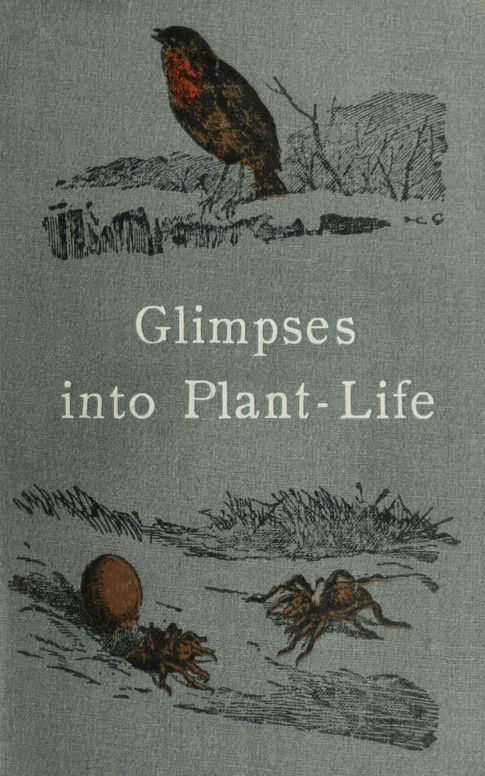 Glimpses into plant-life