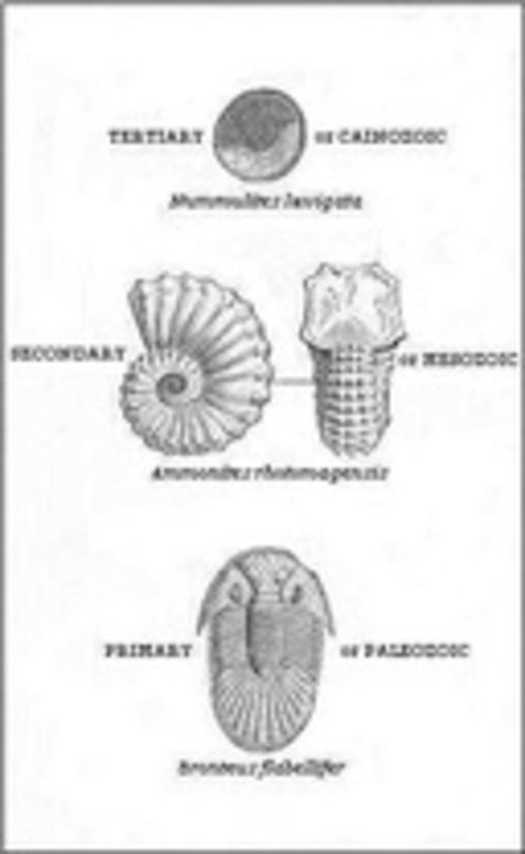The Student's Elements of Geology