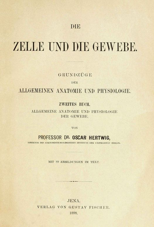 Die Zelle und die Gewebe; Zweites Buch (Vol. 2/2)