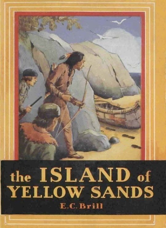 The Island of Yellow Sands An Adventure and Mystery Story for Boys