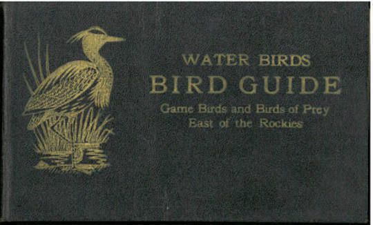 Bird Guide Water Birds, Game Birds, and Birds of Prey