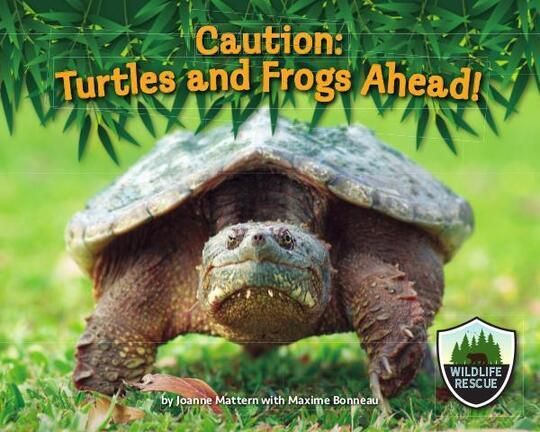 WildlifeRescue_TurtlesFrogs.indd