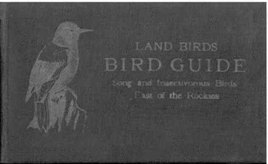 Bird Guide: Land Birds East of the Rockies From Parrots to Bluebirds