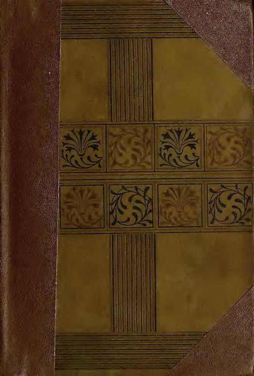 The New Abelard, Volume 1 (of 3)
A Romance