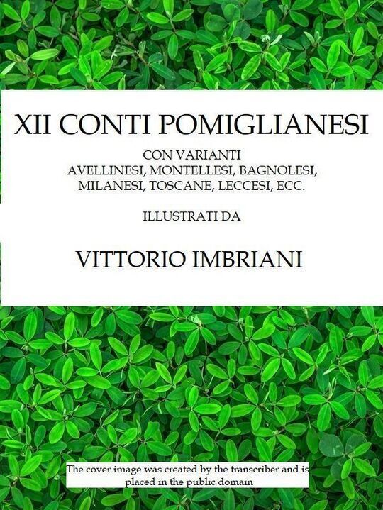 XII conti pomiglianesi / con varianti avellinesi, montellesi, bagnolesi, milanesi, toscane, ecc.