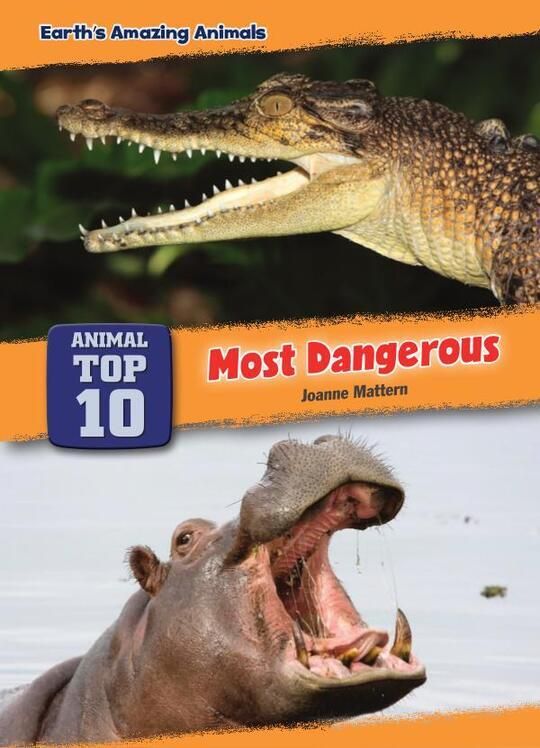 Top 10 Most Dangerous