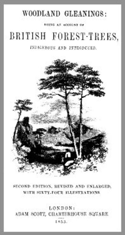 Woodland Gleanings Being an Account of British Forest-Trees