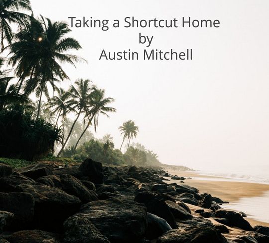 Taking_a_shortcut_Home.docx1000.docxAB