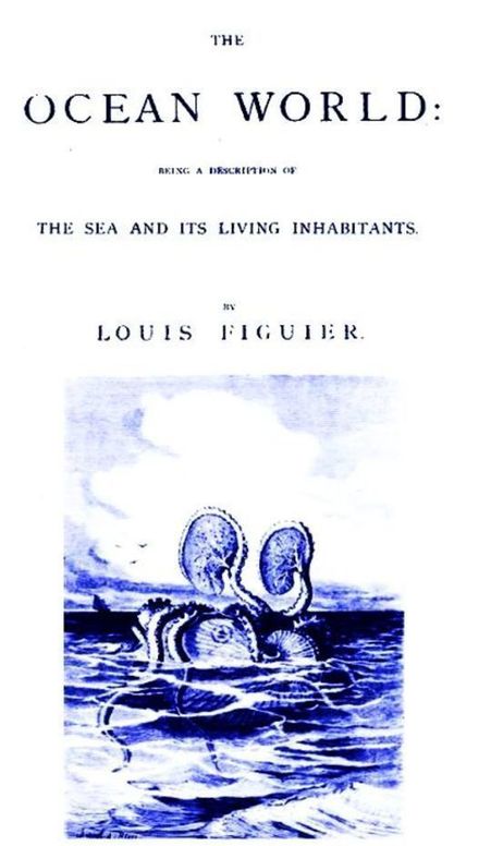 The Ocean World: Being a Description of the Sea and its Living Inhabitants.