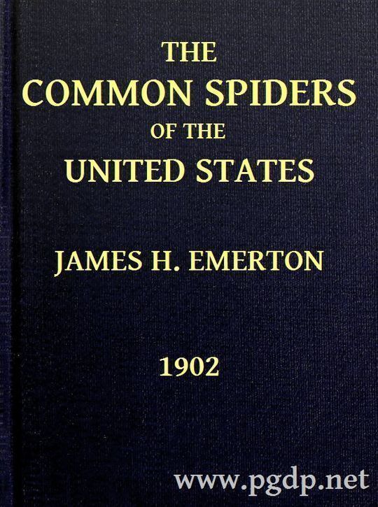 The Common Spiders of the United States