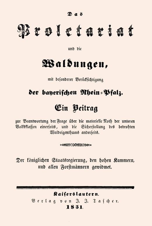 Das Proletariat und die Waldungen, mit besonderer Berücksichtigung der bayerischen Rhein-Pfalz.