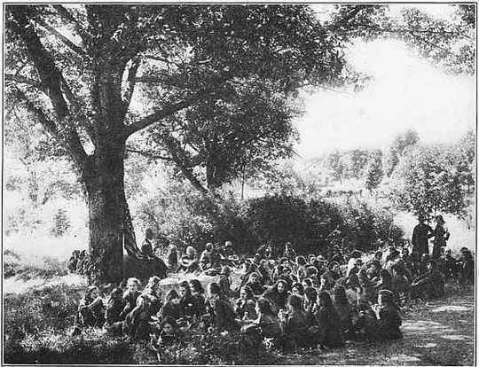 Campward Ho! A Manual for Girl Scout Camps