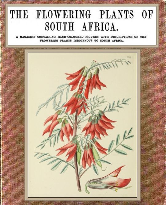 Flowering Plants of South Africa vol. 5
