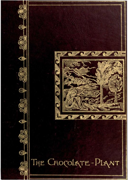 The chocolate-plant (Theobroma cacao) and its products