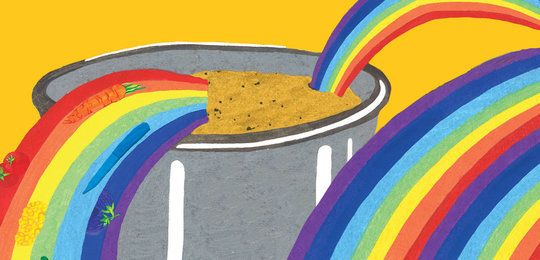 Rainbow Sambar