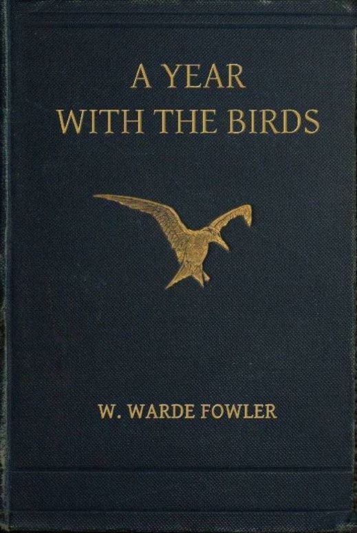 A Year with the Birds Third Edition, Enlarged