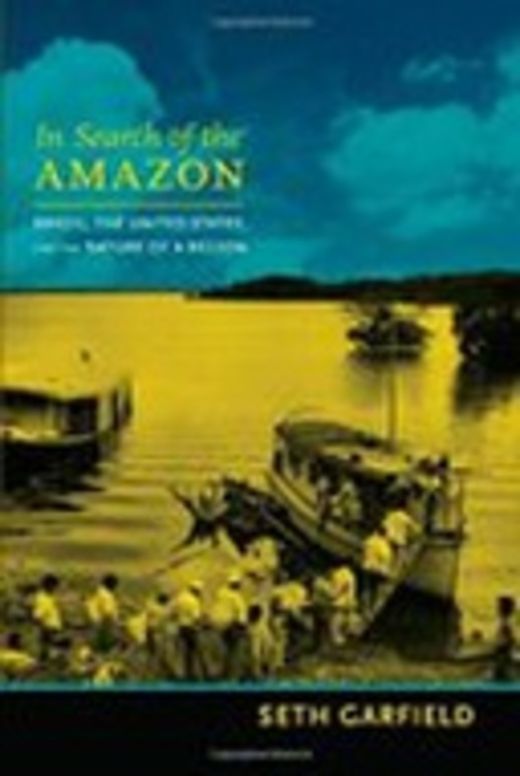 In Search of the Amazon - Brazil, the United States and the Nature of a Region