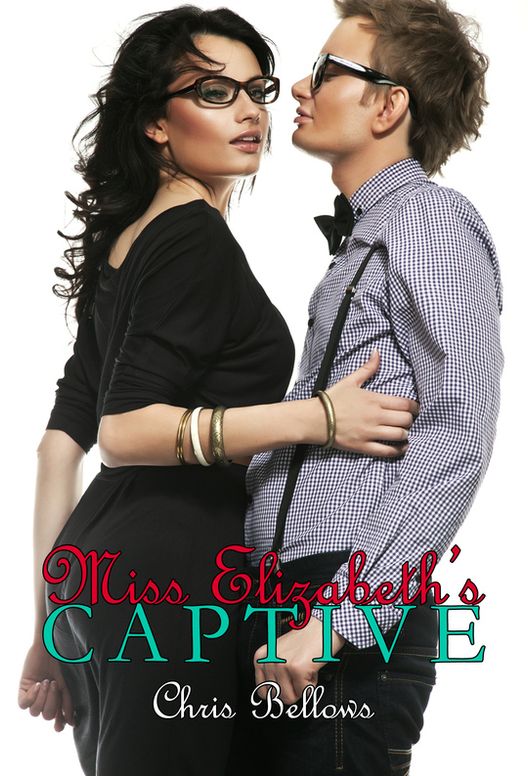 Miss Elizabeth's Captive