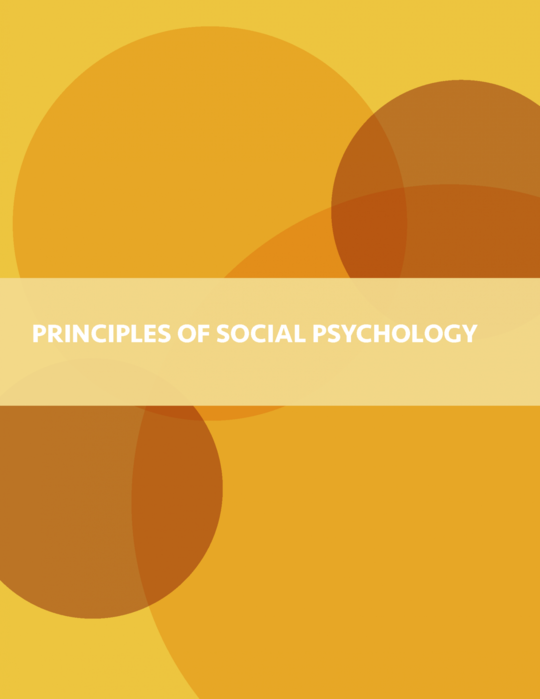 Principles of Social Psychology