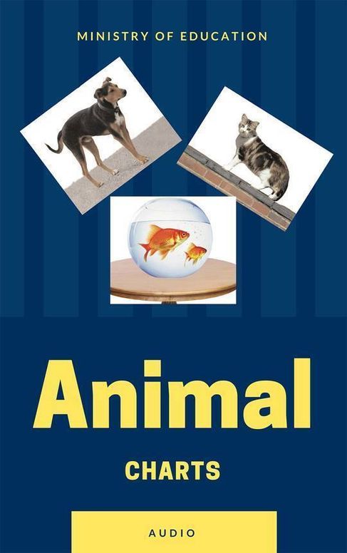 Animal Charts