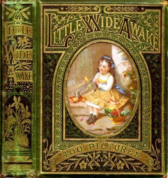 Little Wideawake
A story book for little children