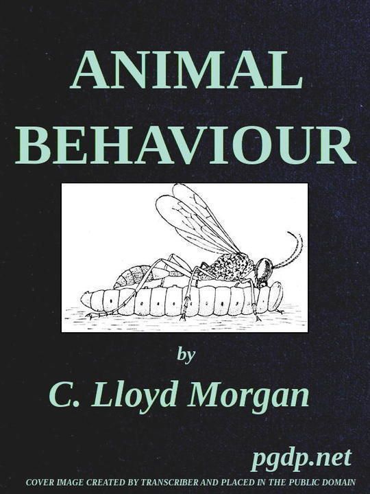 Animal Behaviour